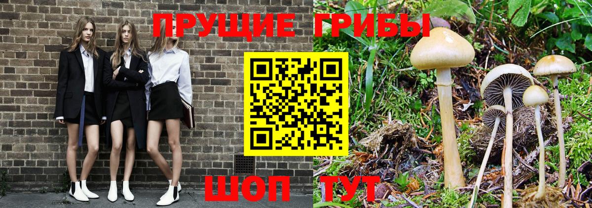 Галлюциногенные грибы Psilocybe  Вход с VPN  Галлюциногенные грибы мухоморы  Моздок 