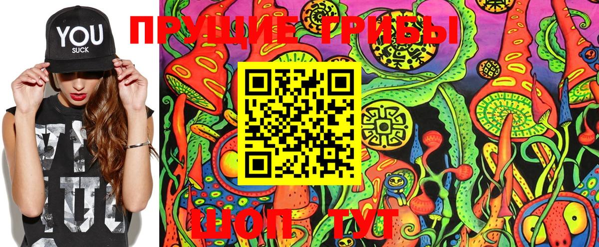 Галлюциногенные грибы Psilocybine cubensis Моздок