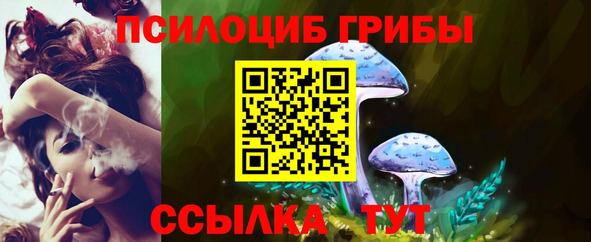 Галлюциногенные грибы мухоморы Моздок